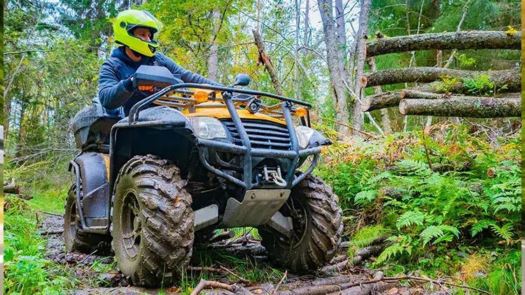 Mönkijä metsätiellä